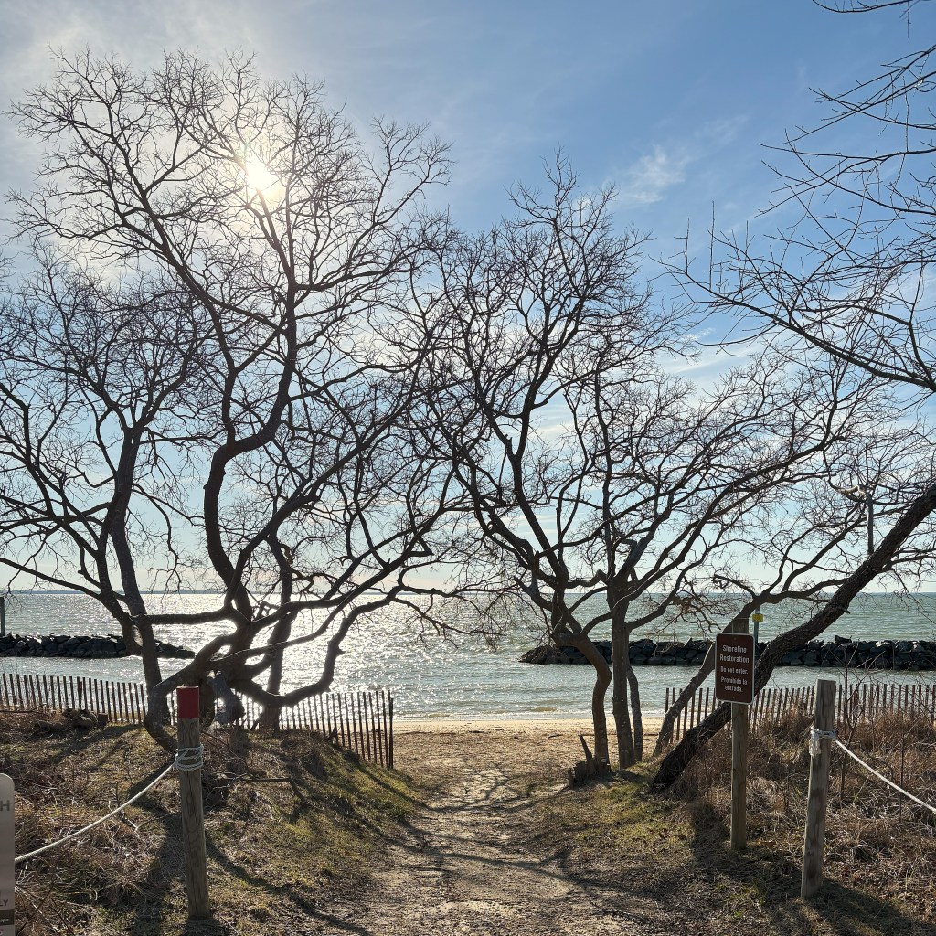 Excursion at Point&nbsp;Lookout