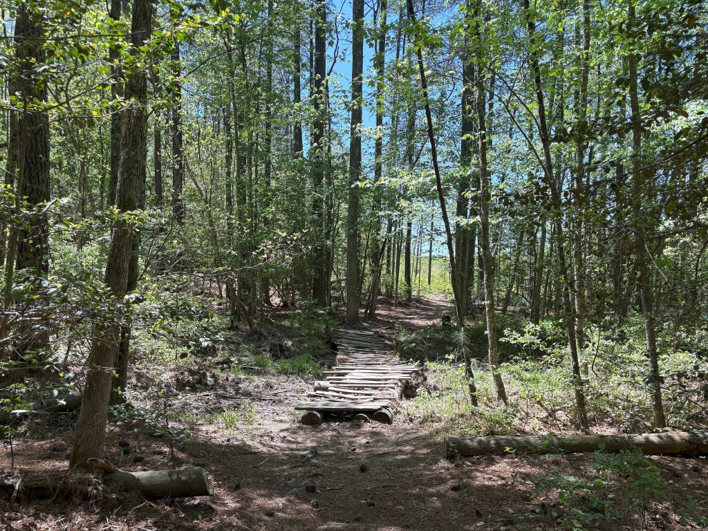 Salem State Forest, Lot 2. Part 2. Leonardtown,&nbsp;MD