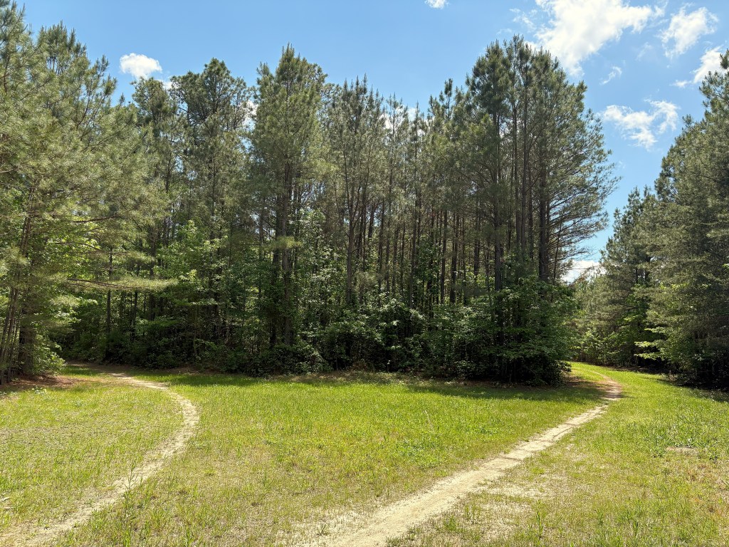 Salem State Forest, Lot 1. Part 3. California,&nbsp;MD