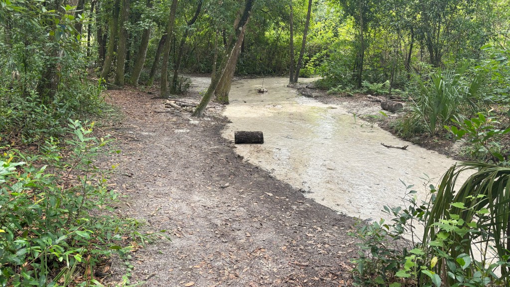 Hidden Waters Preserve. Eustis,&nbsp;FL