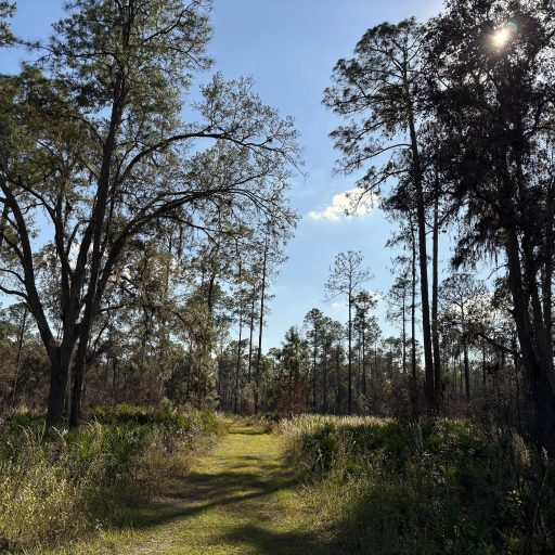 R.A.Walker Photography